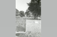 Lonesome Dove Cemetery, gravestone and palm tree, 1988 (090-047-003)
